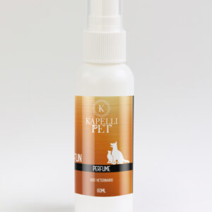 Perfume Fun 60ML