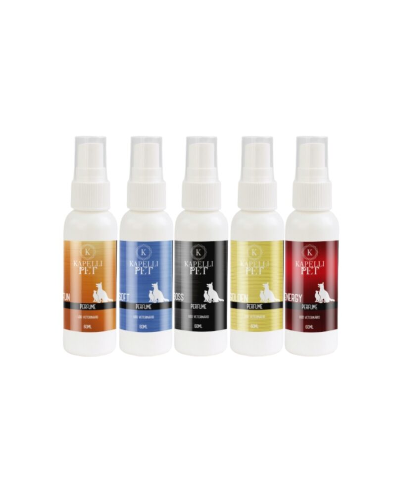 Perfumes (Fun-Soft-Boss-Golden-Energy) 60ml